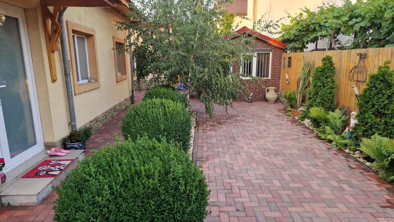 Casa Teo Hotel Buzău Eksteriør billede